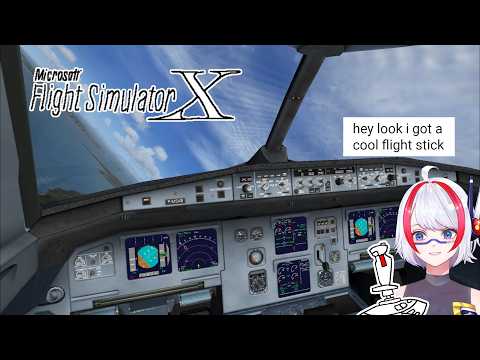 [PC] Microsoft Flight Simulator X (2006) #6