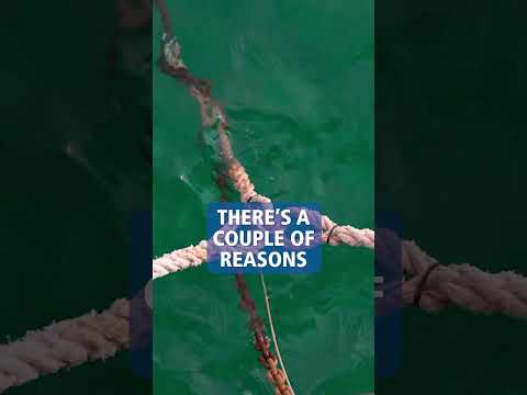 How to Use and Anchor and Windlass Part 2