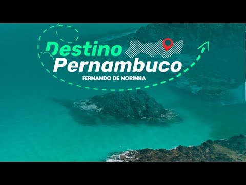 Destino Pernambuco EP1 - Descubra Fernando de Noronha