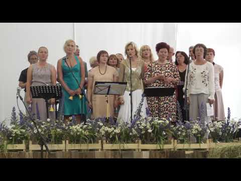 HIIGi õpetajad - Für Elise / Meil aia äärne tänavas