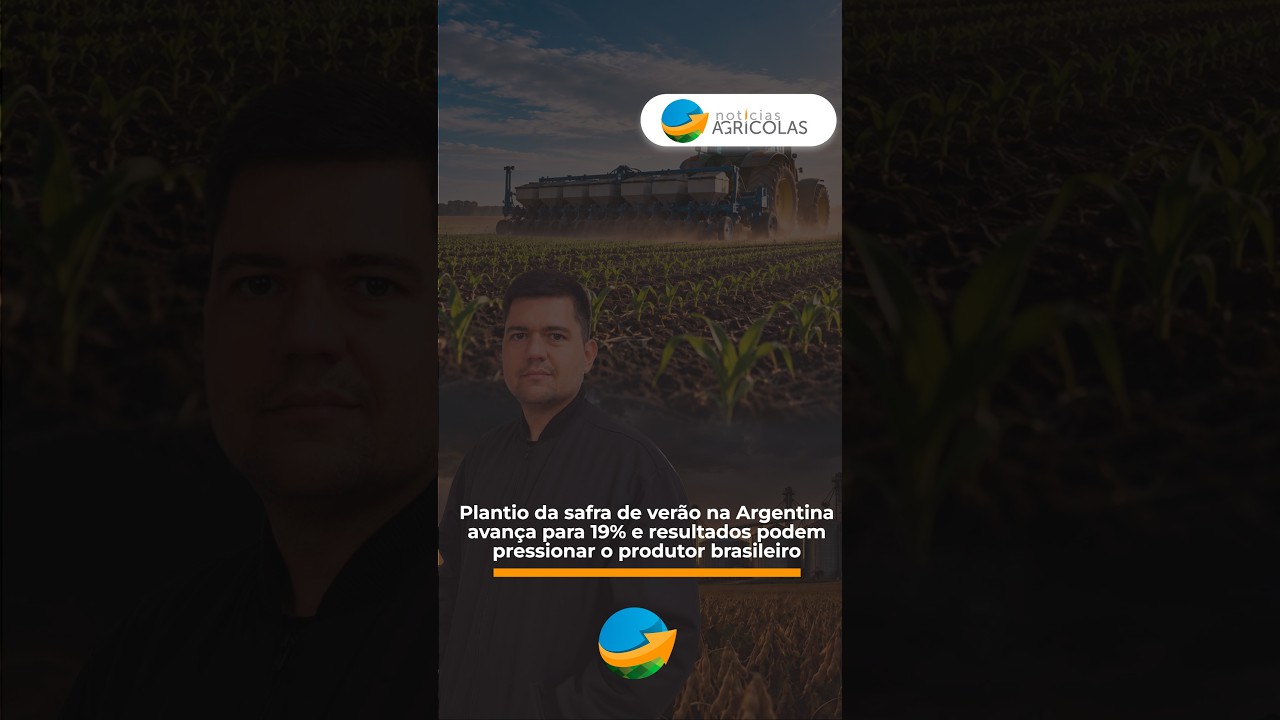 Plantio da safra de verão na Argentina avança para 19% e pode pressionar o produtor brasileiro.