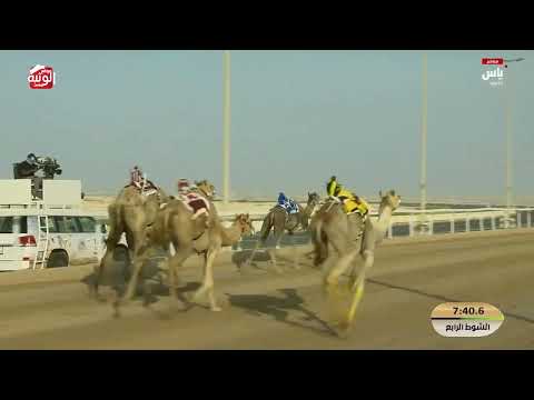 ش 4 (رصاد) لـ عبدالعزيز سيف علي الكتبي 12:43:65 ، مهرجان ختامي الشحانية 2026/04/27 زمول