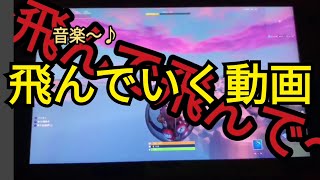 飛ぶ動画