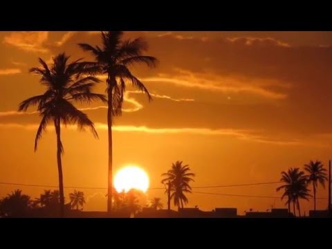 Aracaju linda por natureza, homenagem do Colégio Jardins