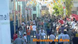 preview picture of video 'Entradas de Toiros Diárias - Moita do Ribatejo - Feira de Setembro 2009:'
