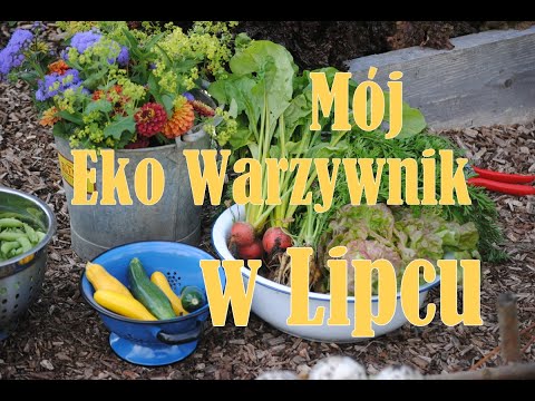 , title : 'Co robimy w warzywniku w lipcu? Zapewnienie ciągłości upraw, a także jak uprawiać groszek pachnący.'