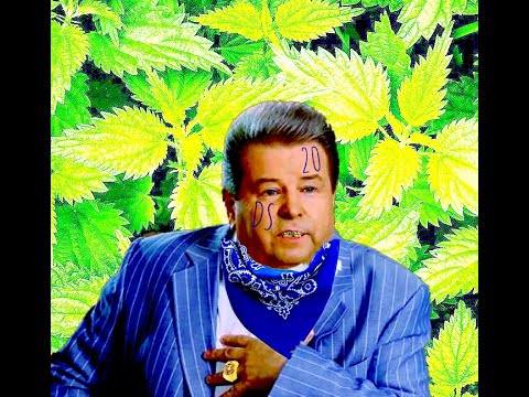 ARTMAN, Lizzzard, Jasmine319, Matorin, nemo322 - DS20