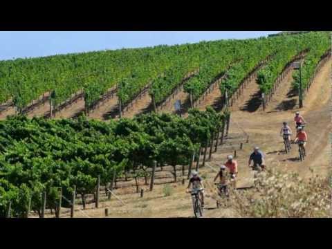 download lagu mp3 mp4 Napa And Sonoma Valley Bike Tours, download lagu Napa And Sonoma Valley Bike Tours gratis, unduh video klip Napa And Sonoma Valley Bike Tours