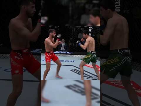 Feint – Hook 🥊 #mma #boxing #martialarts #training #usa #ufc