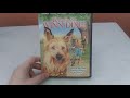 Because Of Winn Dixie Dvd Review