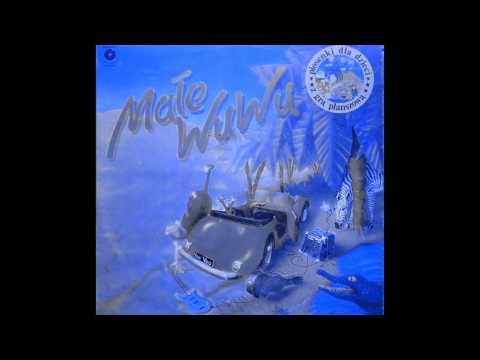 06. Małe Wu Wu - Planetarium w akwarium [Voo Voo]