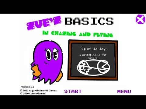 Sue's Basics In Chasing And Flying