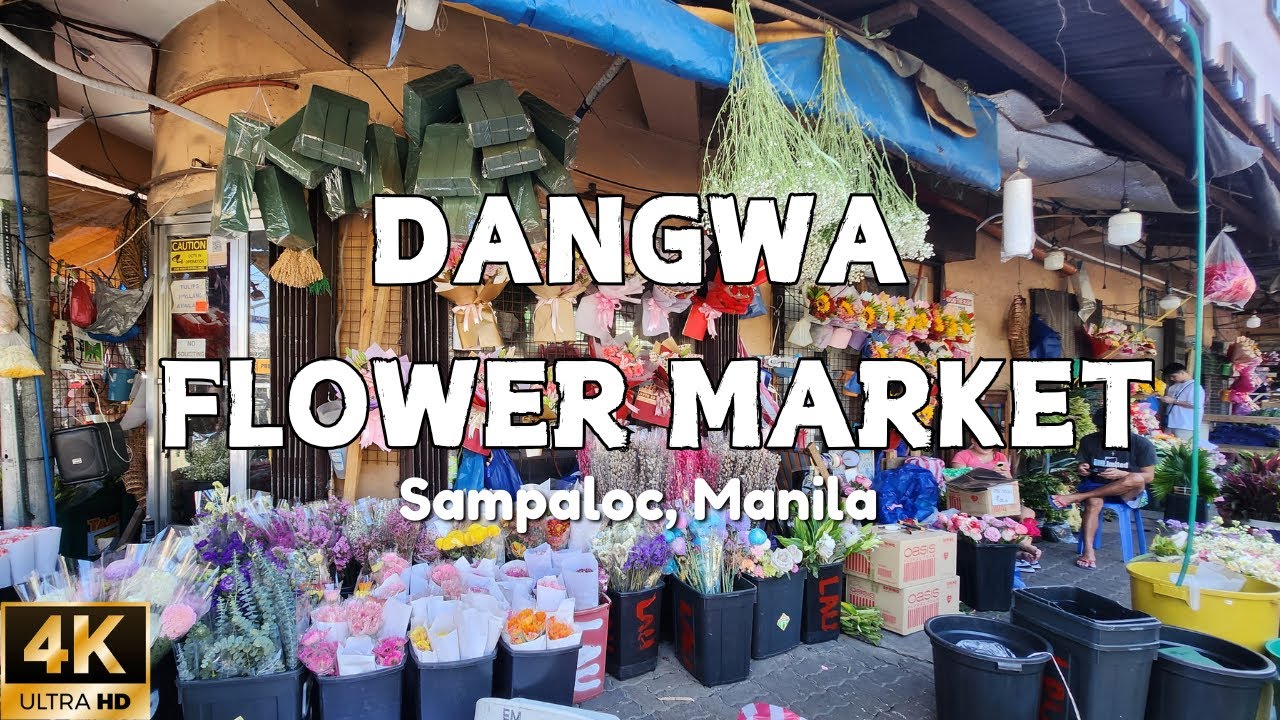 Embark on a virtual stroll through Dangwa Flower Market.