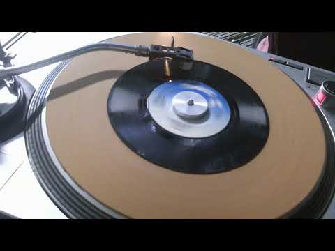 Hot Child In The City   Nick Gilder   1978   Styrene