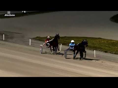 Prova di qualifica 4 anni ed oltre - martedì 14 febbraio 2023