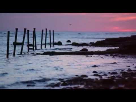 Video 16 aus  LandSelection Ferienhof Harms