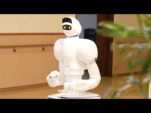 Aeo Review Video 2