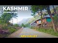 Morning Walk In Aru Valley Pahalgam Kashmir