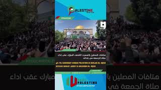 Download lagu YEL YEL PEMBAKAR PEMUDA PALESTINA mp3 Download lagu YEL YEL PEMBAKAR PEMUDA PALESTINA mp3