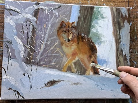 draw a wolf Vugar  Mamedov