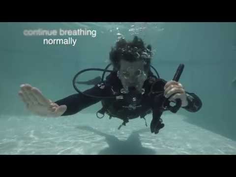 Neutrally Buoyant - PADI Divemaster & Instructor Course (PADI IDC) Skills circuit