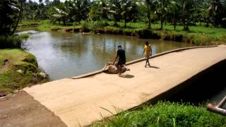 preview picture of video 'River dumping in Fiji'