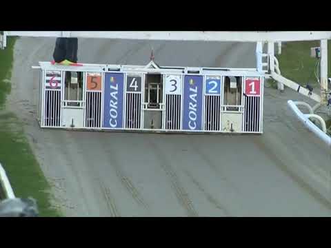 Bubbly Turbo Wins The Hawk Henlow Derby Final In Trap 1.Xxxx