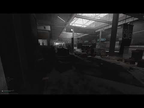 Escape From Tarkov: Hostile eliminated