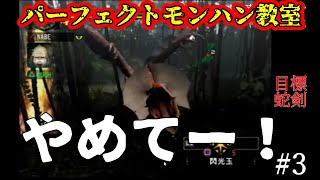 【モンハン配信】廊下は走ってはいけません！【切り抜き動画】#3