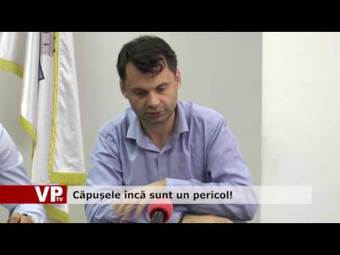 Căpușele încă sunt un pericol!