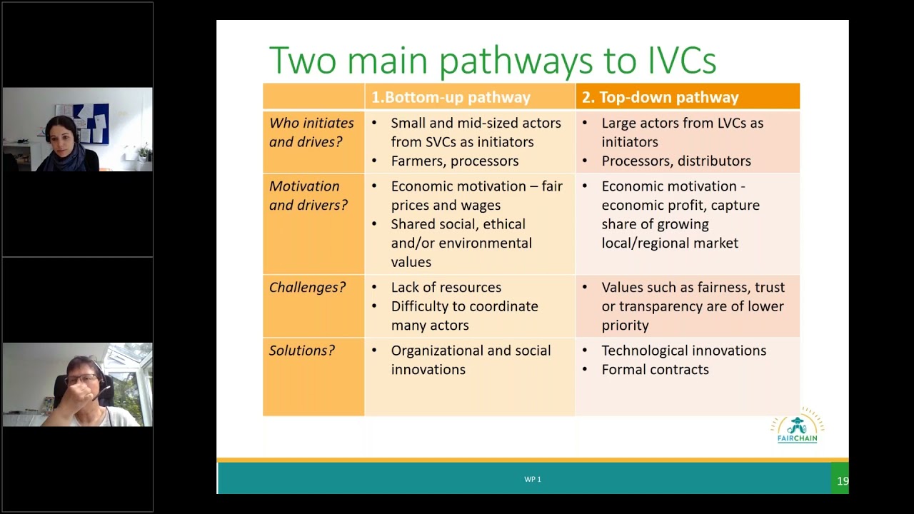 Transition pathways towards intermediate value chains