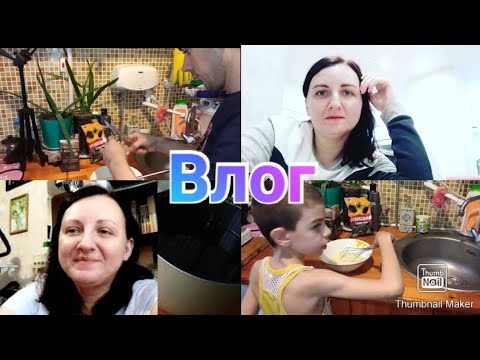 Как отметили 23 февраля / Испекла торт / Пошли в кафе / Покупки в Пятёрочке / Домашний влог /Anika Z