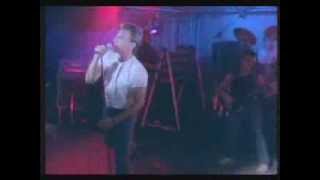 James Reyne  - Rip It Up