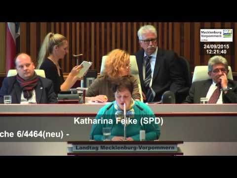Fischsterben in der Peene - Katharina Feike