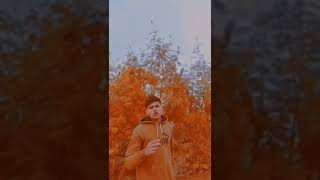 Download lagu defa ho mp3