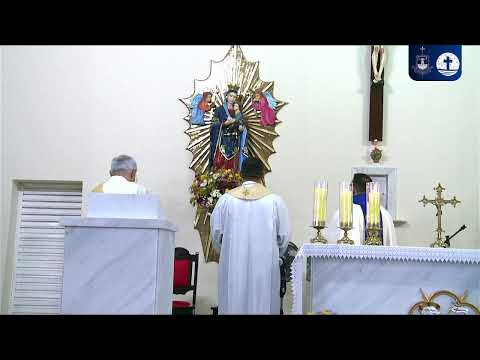 Sexta Noite Festa de Nossa Senhora do Perpétuo Socorro - 19/11/2024