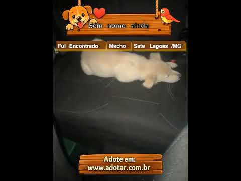 Vídeo de Sem nome ainda 