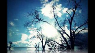 Tycho-Coastal Brake(my photography)