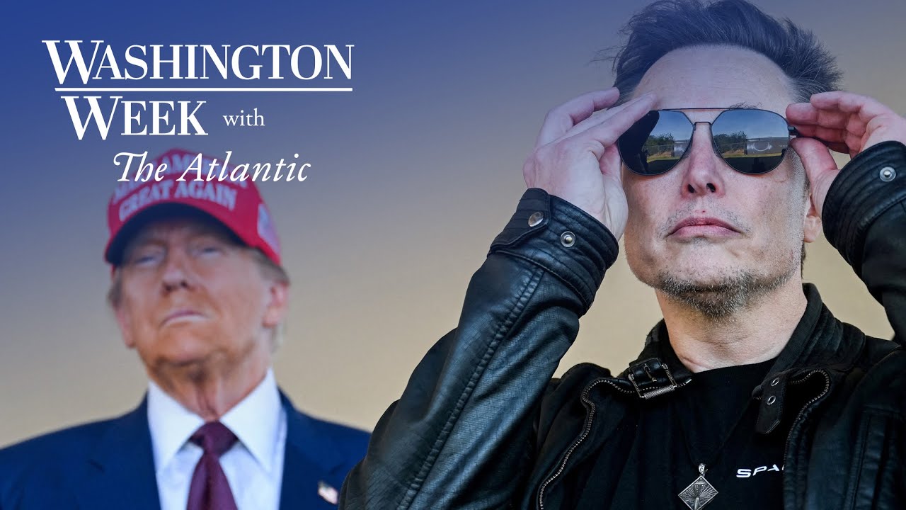 How did Elon Musk become the most powerful man in Washington?