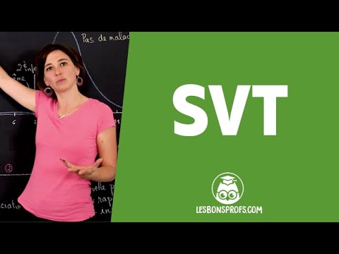 La mémoire immunitaire expliquée (3ème) - Les Bons Profs