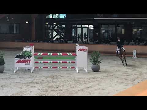 SA Stables " Classic" by Cancara CSI ** Peelbergen