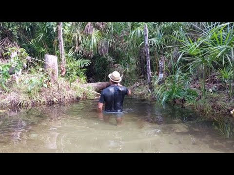 Aí que Vida - "O Casamento do Boto "