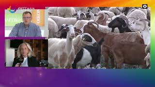 ΠΡΟΒΛΗΜΑΤΙΖΕΙ Η ΕΥΛΟΓΙΑ ΠΡΟΒΑΤΩΝ_ΑΝΝΑ ΜΑΡΙΑ ΠΑΠΑΔΗΜΗΤΡΙΟΥ 11 07 2025