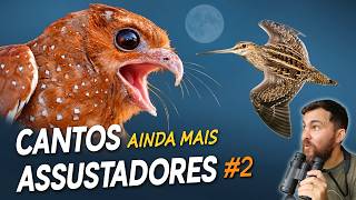 Os 16 CANTOS de AVES MAIS ASSUSTADORES do MUNDO! #2