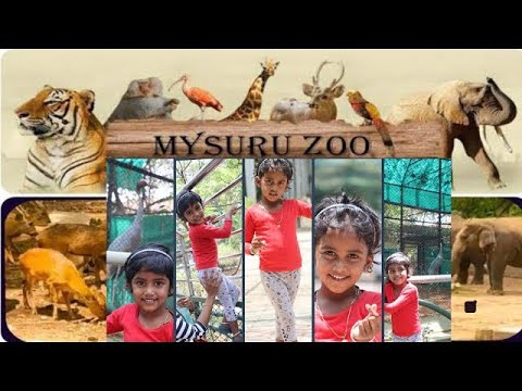 A Day at Mysuru Zoo #kushiaahana #kushiaahana #mysorezoo