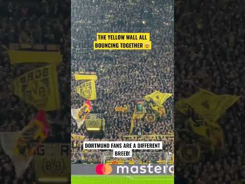 THE YELLOW WALL ALL BOUNCING TOGETHER 🤯 - BVB fans vs Chelsea