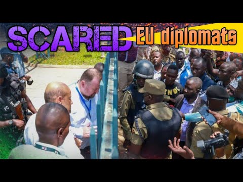 Activists Storm The European Union Offices In Uganda Protesting EU Parliament Resolution