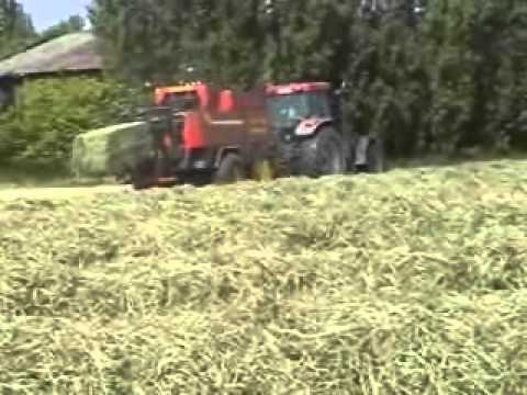 Demarez-Marreel  -  Egem: Grootpakpersen + wikkelen.