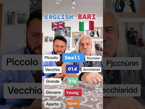 Pccnùnn🍾🍾 #baresità #idioma #dialect #linguadeglidei #bari #translation  #language #dialetto