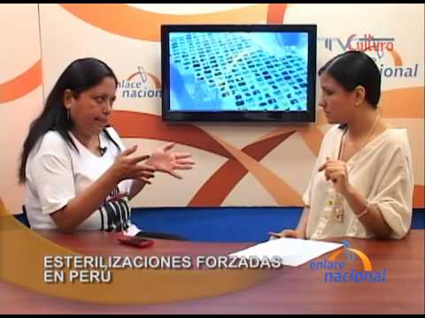 Entrevista a María Ysabel Cedano - Esterilizaciones forzadas